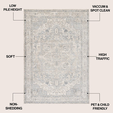Jerica modern Persian Vintage Medallion Area Rug